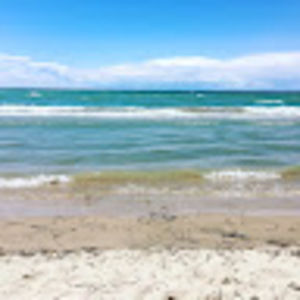 Meet your Posher, Naomi colombia